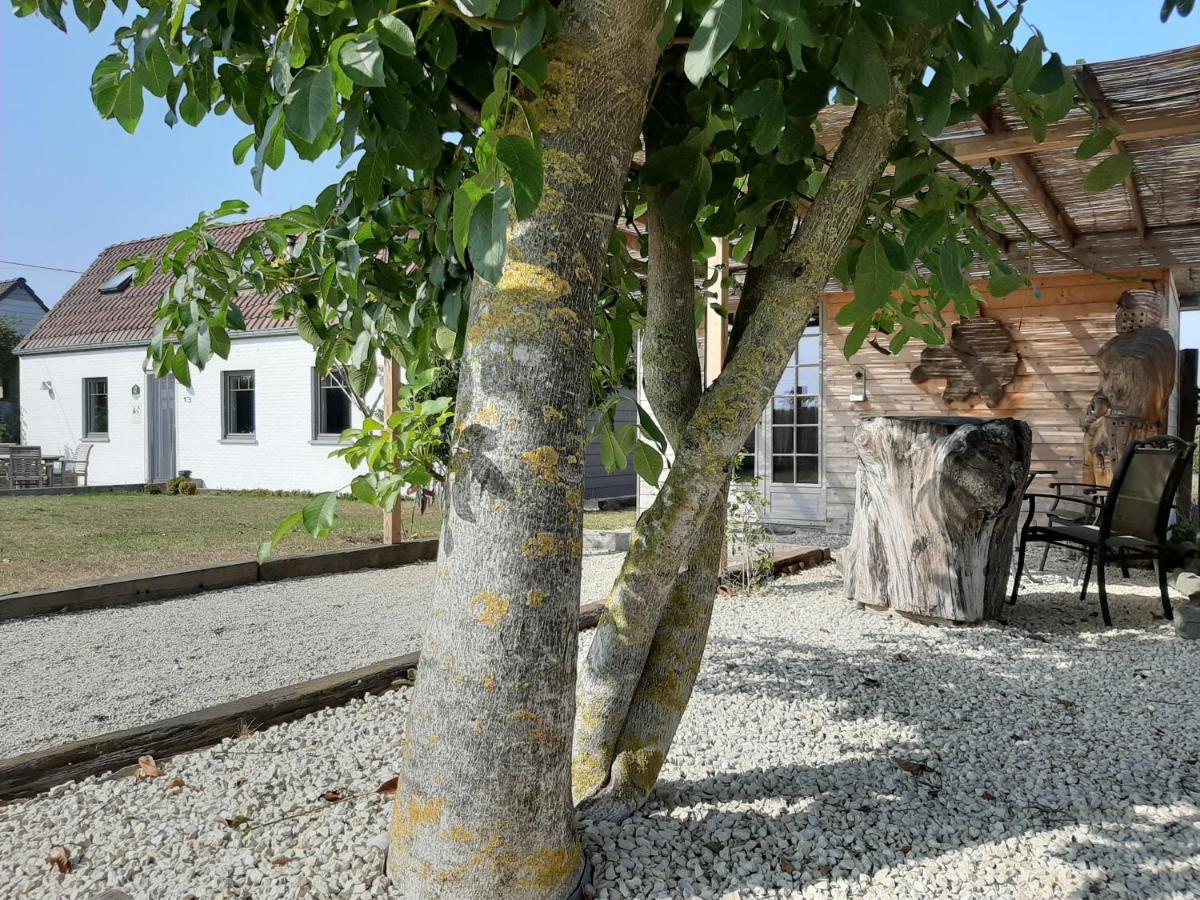 La Petite Juliette Villa Leuze-en-Hainaut Eksteriør bilde