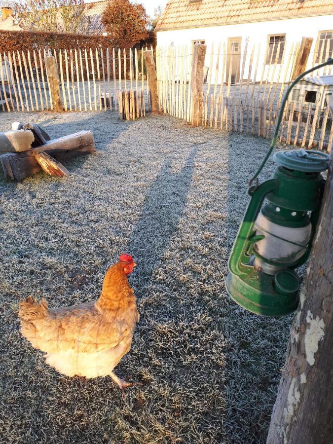 La Petite Juliette Villa Leuze-en-Hainaut Eksteriør bilde